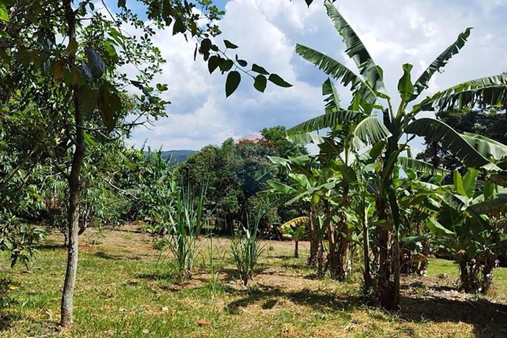 Chácara / Sítio / Fazenda - Venda - Cabreúva , São Paulo - WhatsApp Image 2025-01-07 at 15.47.01 (2).jpeg - 630531012-40
