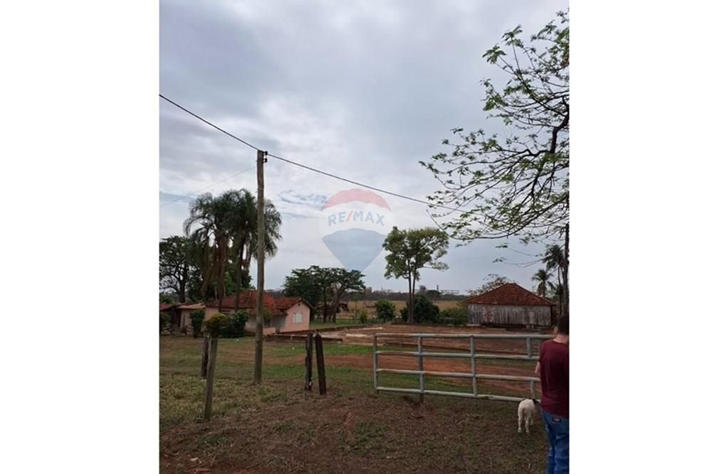 Chácara / Sítio / Fazenda - Venda - Fernandópolis , São Paulo - WhatsApp Image 2024-10-21 at 10.36.48.jpeg - 630541038-16