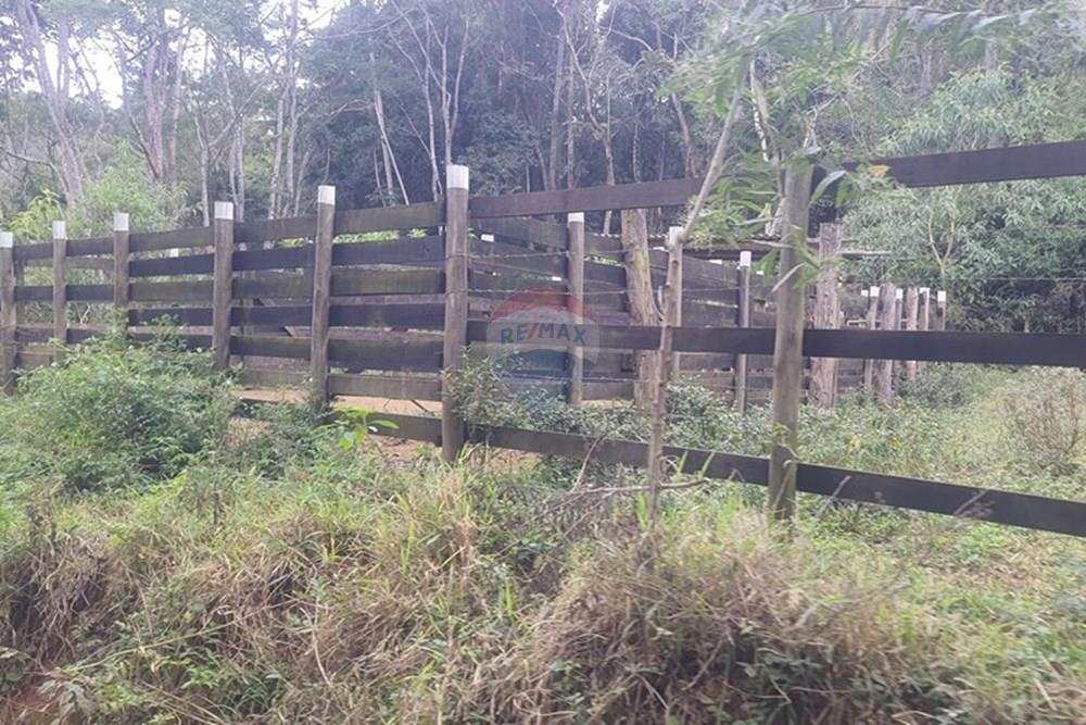 Fazenda - Venda - Teresópolis , Rio de Janeiro - 20250702_132726.jpg - 630191078-25