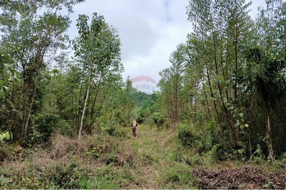 Terreno - Venda - Mogi das Cruzes , São Paulo - WhatsApp Image 2024-11-11 at 11.58.52.jpeg - 631541001-10