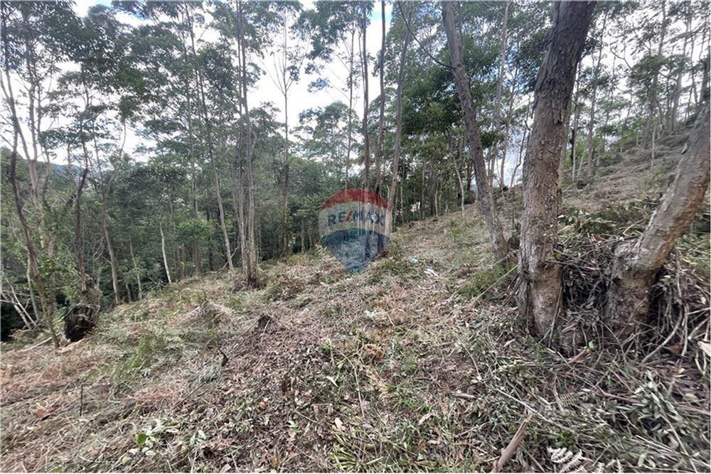 Terreno - Venda - Nova Friburgo , Rio de Janeiro - L_a13cda13117543edbd45dc798bb8f144.jpg - 630551007-315
