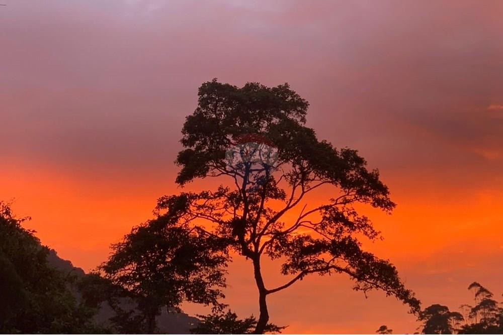 Casa - Alugar - Petrópolis , Rio de Janeiro - WhatsApp Image 2024-12-18 at 15.12.34.jpeg - 630131015-67