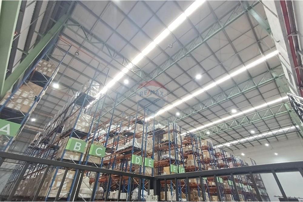 Galpão - Alugar - São Paulo , São Paulo - IMG-20251001-WA0150.jpg - 630251092-65