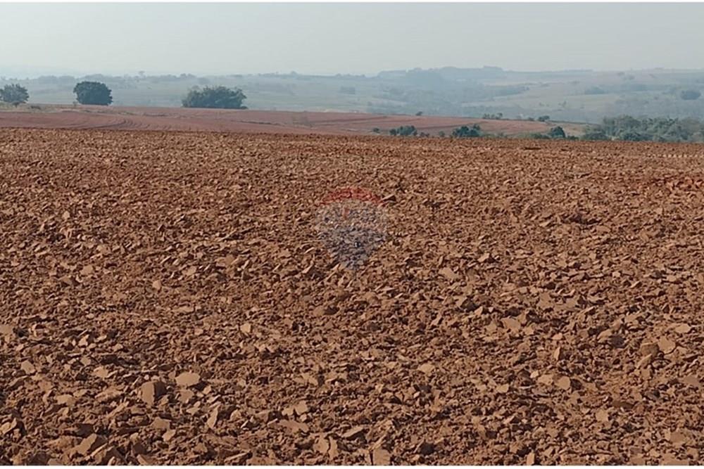 Chácara / Sítio / Fazenda - Venda - Tupã , São Paulo - WhatsApp Image 2024-10-18 at 20.43.06.jpeg - 630541038-17