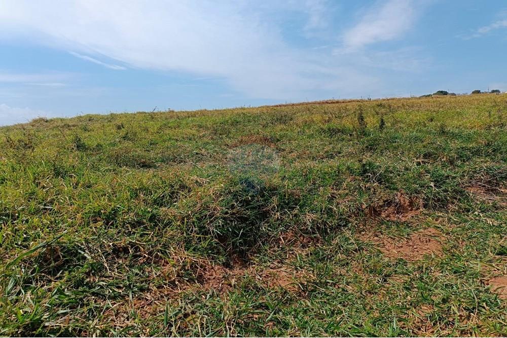 Terreno - Venda - Presidente Prudente , São Paulo - 7.jpeg - 630861066-2