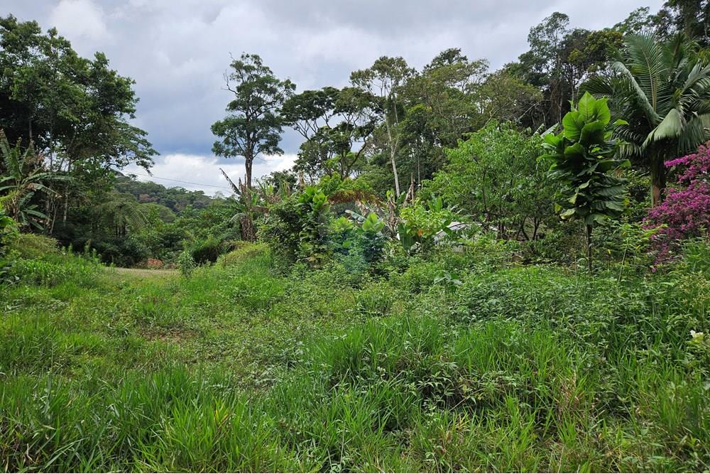 Terreno - Venda - Nova Friburgo , Rio de Janeiro - 20251103_122245.jpg - 630551016-151