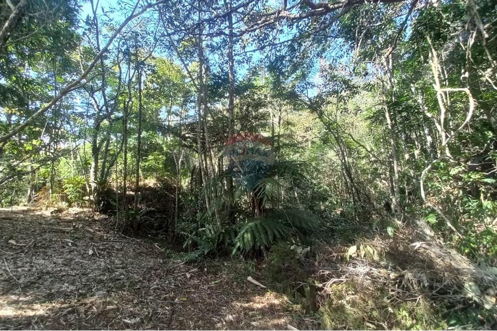 Chácara / Sítio / Fazenda - Venda - Nova Friburgo , Rio de Janeiro - WhatsApp Image 2025-07-21 at 11.11.03 (3).jpeg - 630551037-31