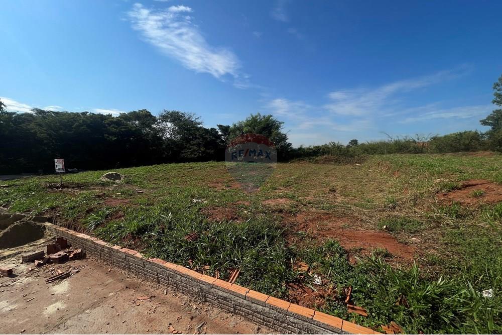 Terreno - Venda - São José do Rio Preto , São Paulo - IMG_7262.JPG - 630401028-48