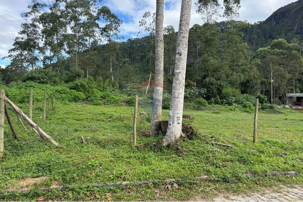 Terreno - Venda - Nova Friburgo , Rio de Janeiro - WhatsApp Image 2025-04-29 at 14.53.38 (2).jpeg - 630551023-219