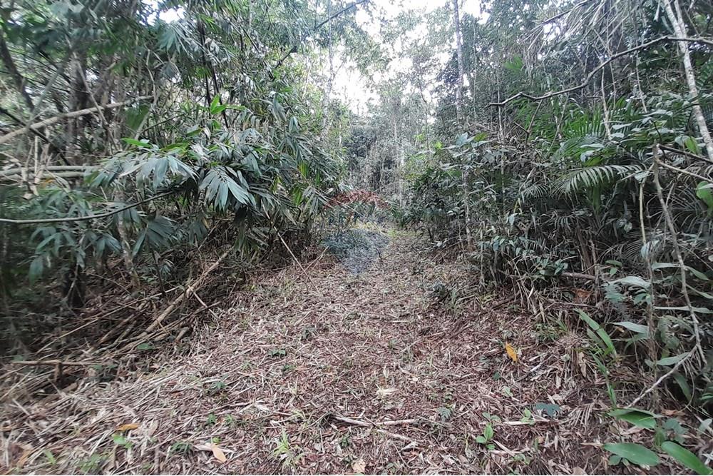 Terreno - Venda - Teresópolis , Rio de Janeiro - 20251012_092625.jpg - 630191084-20