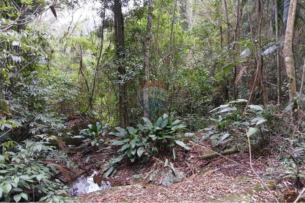 Terreno - Venda - Mogi das Cruzes , São Paulo - WhatsApp Image 2024-11-11 at 11.58.51.jpeg - 631541001-10