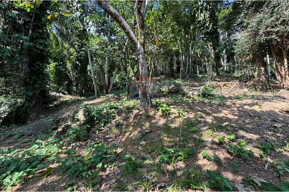 Terreno - Venda - Ilhabela , São Paulo - IMG-20250604-WA0018.jpg - 630951011-24