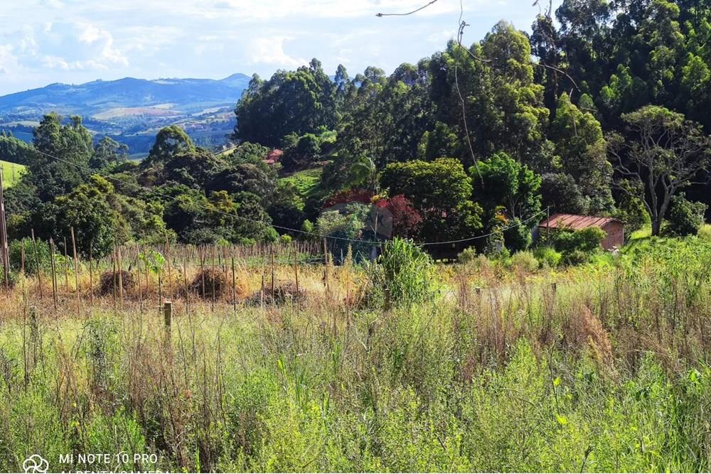 Chácara / Sítio / Fazenda - Venda - Toledo , Minas Gerais - WhatsApp Image 2025-02-28 at 19.58.02 (1).jpeg - 630251077-56