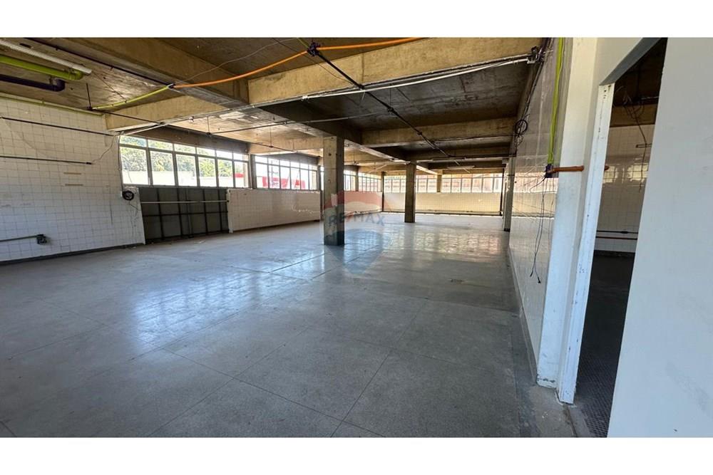 Galpão - Alugar - Petrópolis , Rio de Janeiro - IMG-20250221-WA0006.jpg - 630131065-26