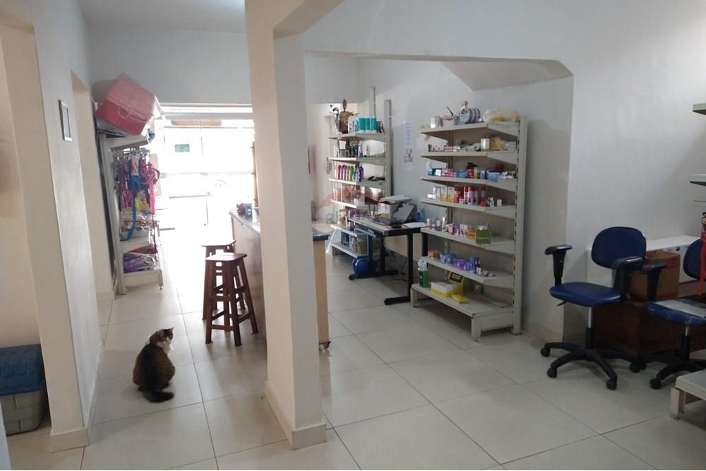 Casa Comercial - Alugar - São José dos Campos , São Paulo - PET SHOP VISTA.jpeg - 631471014-12