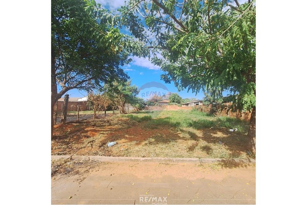 Terreno - Venda - Guaiçara , São Paulo - foto 1.jpg - 630511022-31