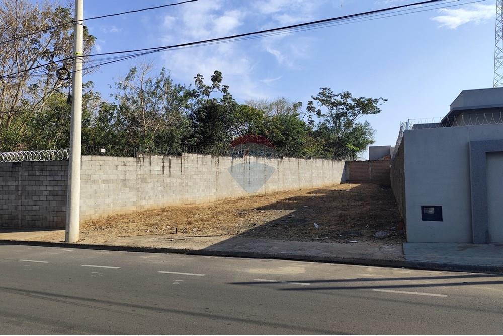 Terreno - Venda - Penápolis , São Paulo - IMG_20250915_160709~2.jpg - 631191036-2