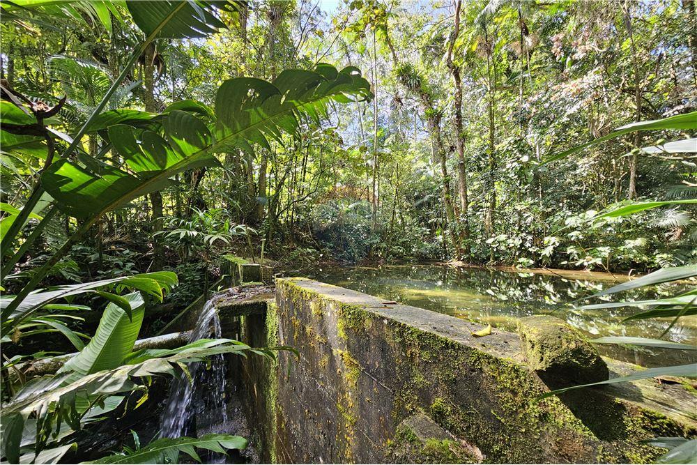 Chácara / Sítio / Fazenda - Venda - Nova Friburgo , Rio de Janeiro - 84 - 630551016-150