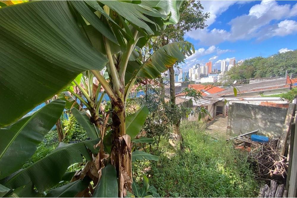 Terreno - Venda - São Bernardo do Campo , São Paulo - WhatsApp Image 2025-04-11 at 19.50.10.jpeg - 630331106-40