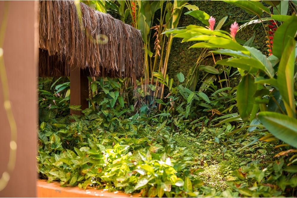 Casa - Venda - Ilhabela , São Paulo - piuva-90.jpg - 630951011-22