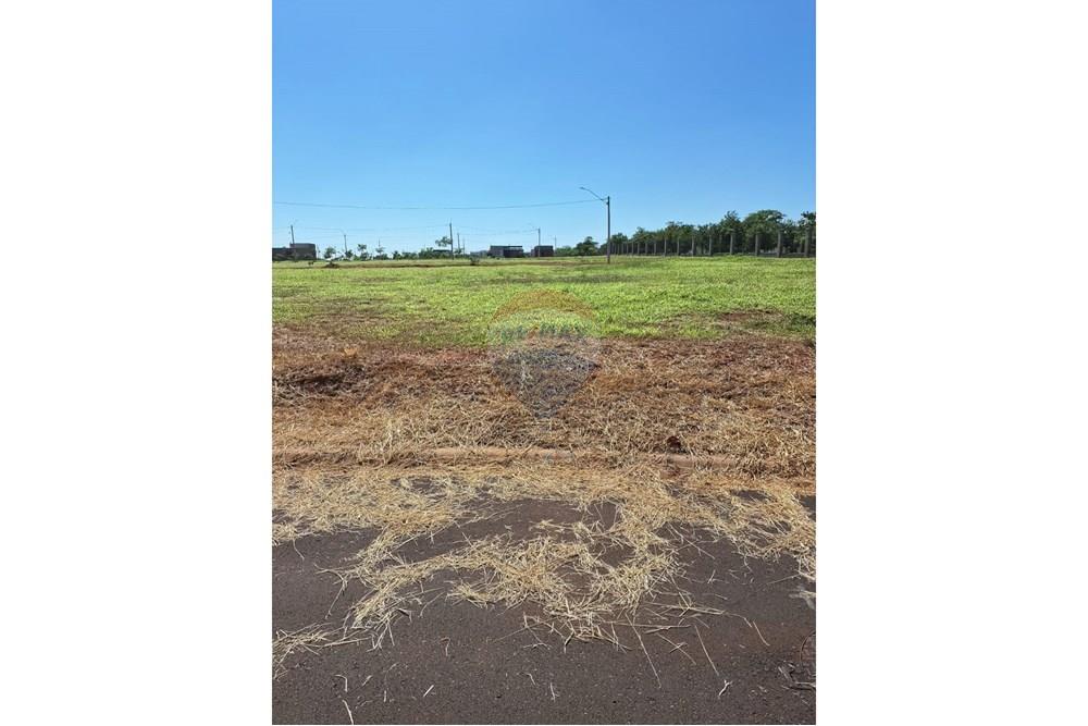 Terreno - Venda - Araçatuba , São Paulo - WhatsApp Image 2025-01-08 at 14.59.53.jpeg - 630541038-21