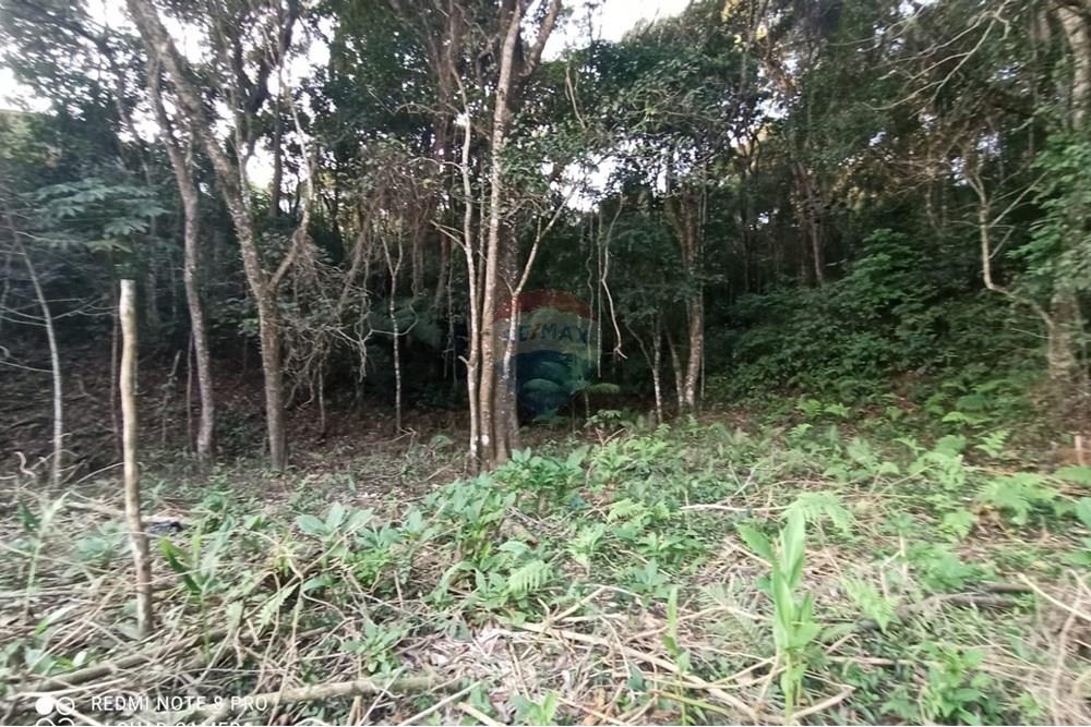 Terreno - Venda - Mairiporã , São Paulo - WhatsApp Image 2025-07-14 at 23.09.36 (2).jpeg - 631361025-36