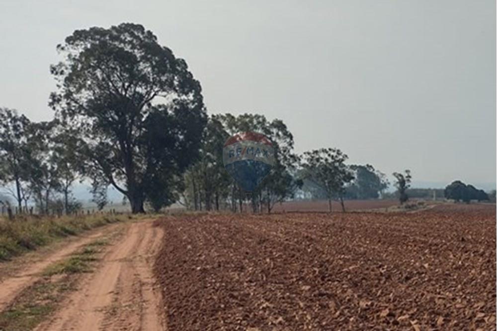 Chácara / Sítio / Fazenda - Venda - Tupã , São Paulo - WhatsApp Image 2024-10-18 at 20.43.08 (4).jpeg - 630541038-17