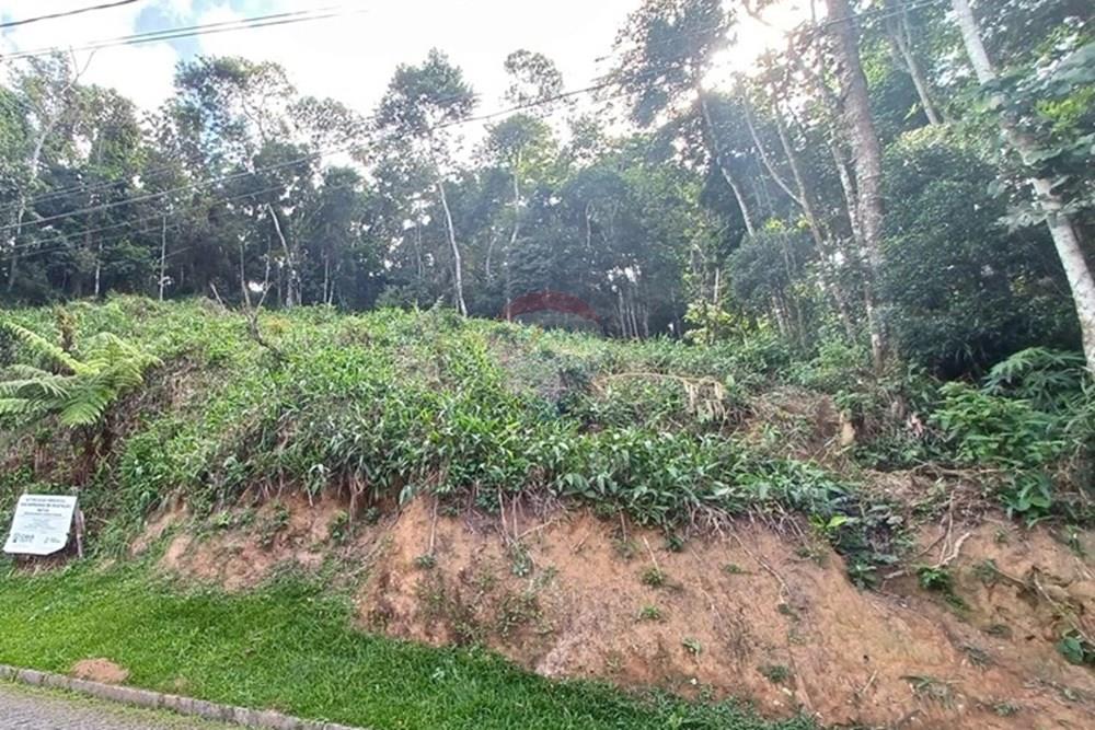 Terreno - Venda - Nova Friburgo , Rio de Janeiro - 68c02e06-da5d-43c1-b651-65da8eb64061.jpg - 630551049-25