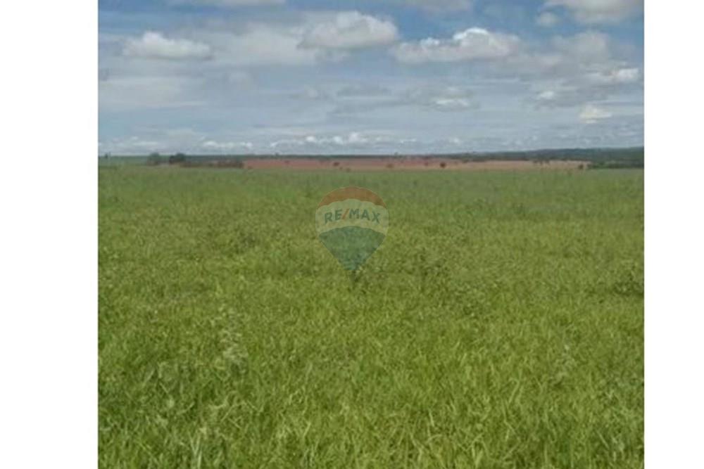 Chácara / Sítio / Fazenda - Venda - Junqueirópolis , São Paulo - WhatsApp Image 2024-10-26 at 10.20.02 (2).jpeg - 630541038-36