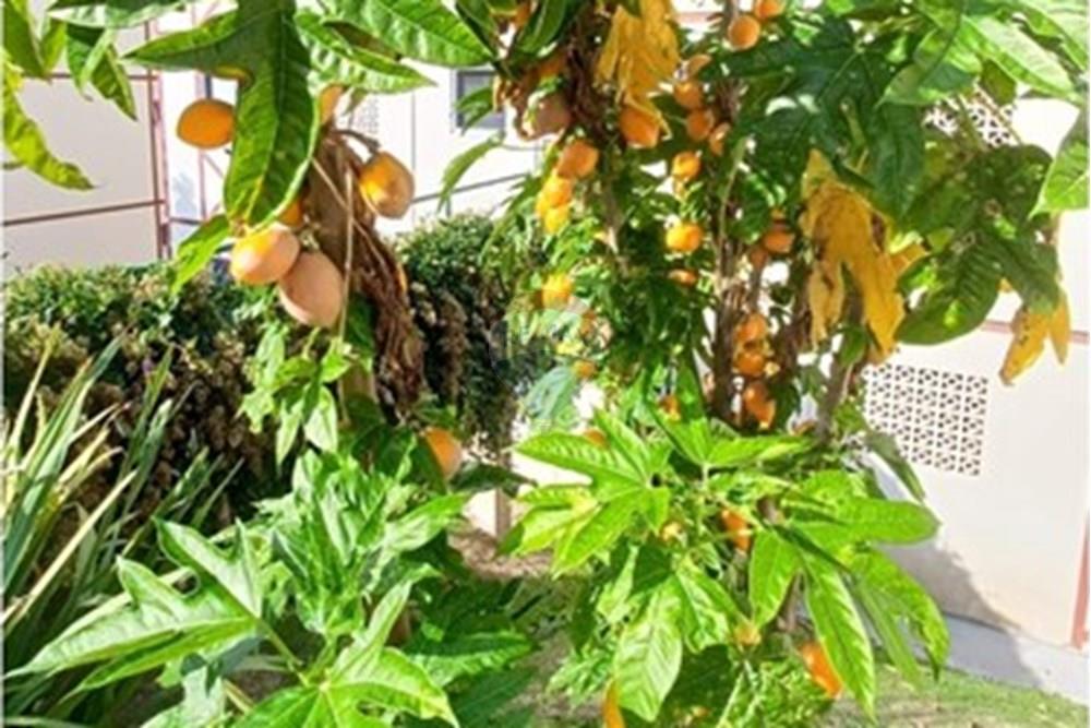 Apartamento - Venda - Nova Friburgo , Rio de Janeiro - cefe84a3-a31e-49b1-be53-d9654df162a9.jpg - 630551049-28