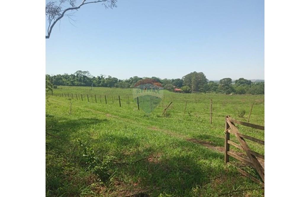 Chácara / Sítio / Fazenda - Venda - Valentim Gentil , São Paulo - WhatsApp Image 2024-11-17 at 09.37.09 (2).jpeg - 630541038-19