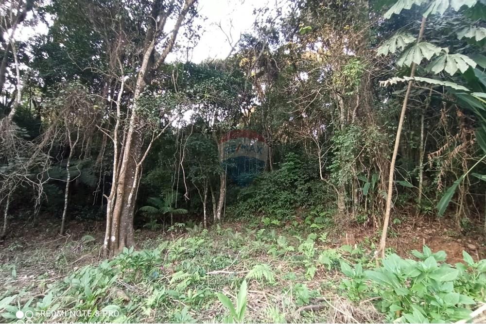 Terreno - Venda - Mairiporã , São Paulo - WhatsApp Image 2025-07-14 at 23.09.30 (2).jpeg - 631361025-36