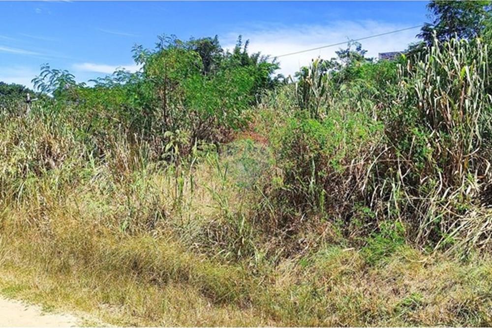 Terreno - Venda - Armação dos Búzios , Rio de Janeiro - 1739210788265.jpg - 630391004-83