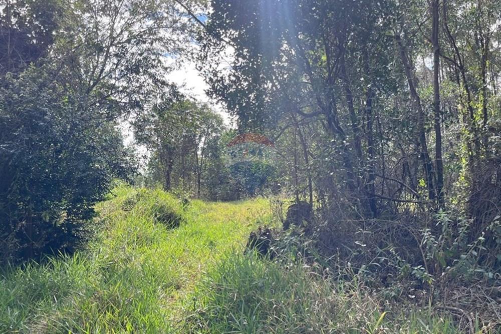 Terreno - Venda - Cabreúva , São Paulo - foto 19.jpg - 630531013-11