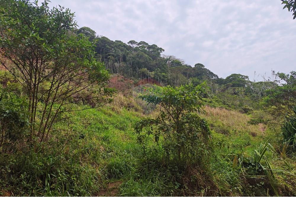 Terreno - Venda - São Sebastião , São Paulo - IMG_20251003_112331.jpg - 631461059-33