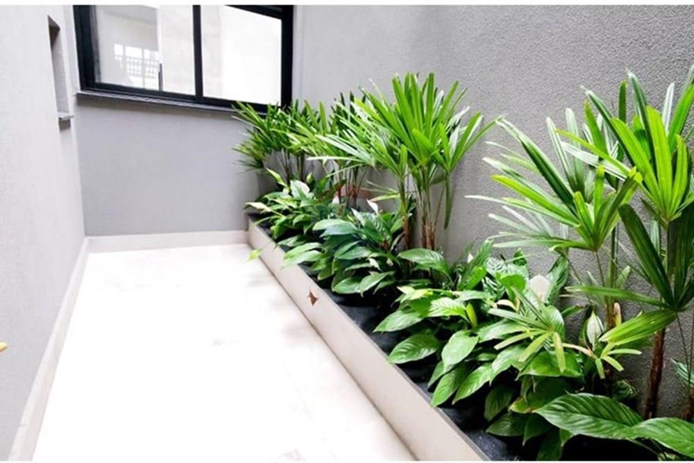 Sobrado - Venda - São Bernardo do Campo , São Paulo - WhatsApp Image 2024-11-05 at 15.57.44.jpeg - 630331106-30