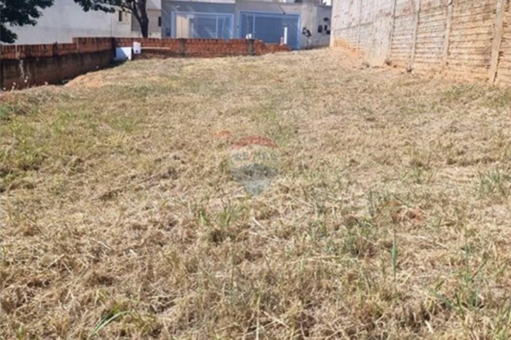 Terreno - Venda - Promissão , São Paulo - WhatsApp Image 2025-08-25 at 12.59.39.jpeg - 630511034-16