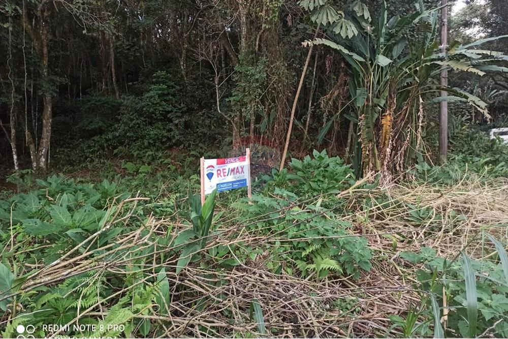 Terreno - Venda - Mairiporã , São Paulo - WhatsApp Image 2025-08-02 at 00.48.44 (1).jpeg - 631361025-36