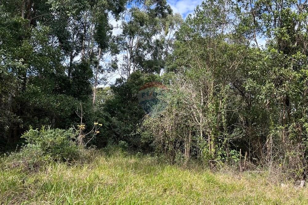 Terreno - Venda - Cabreúva , São Paulo - foto 10.jpg - 630531013-11