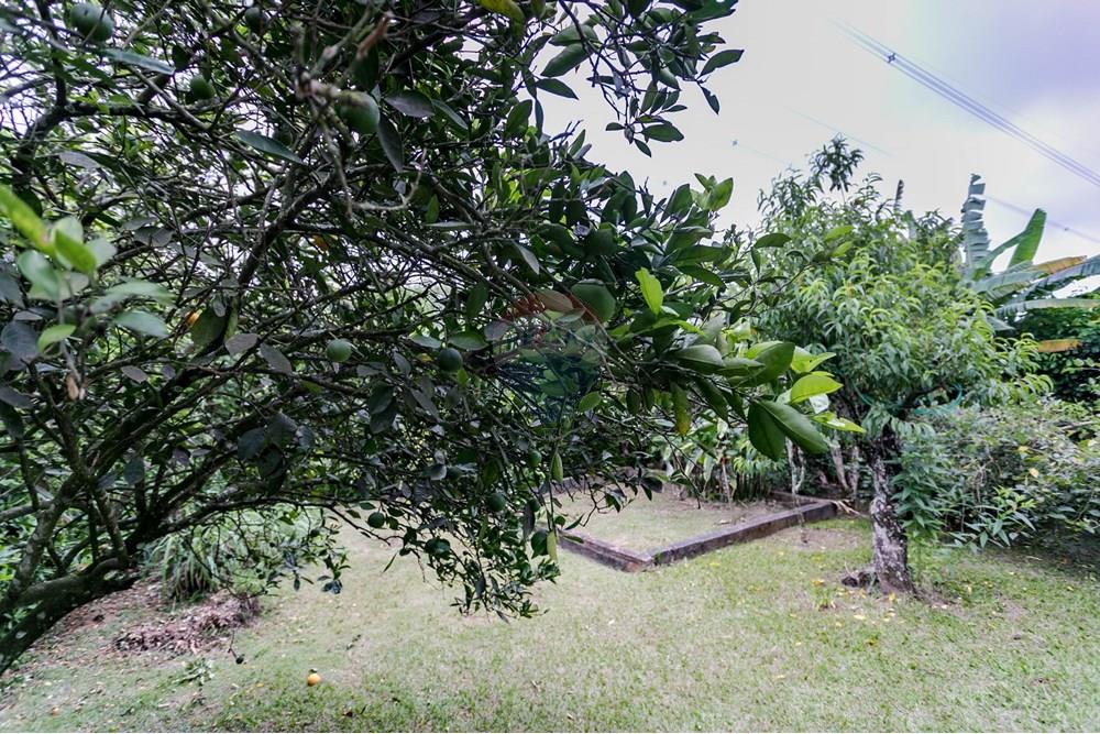 Casa de Condomínio - Alugar - Mogi das Cruzes , São Paulo - 28 QUINTAL F.SERVIDÃO.jpg - 630281074-37