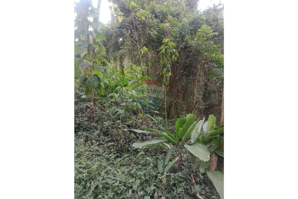 Terreno - Venda - São Roque , São Paulo - WhatsApp Image 2025-08-07 at 10.20.24 (2).jpeg - 631601014-48