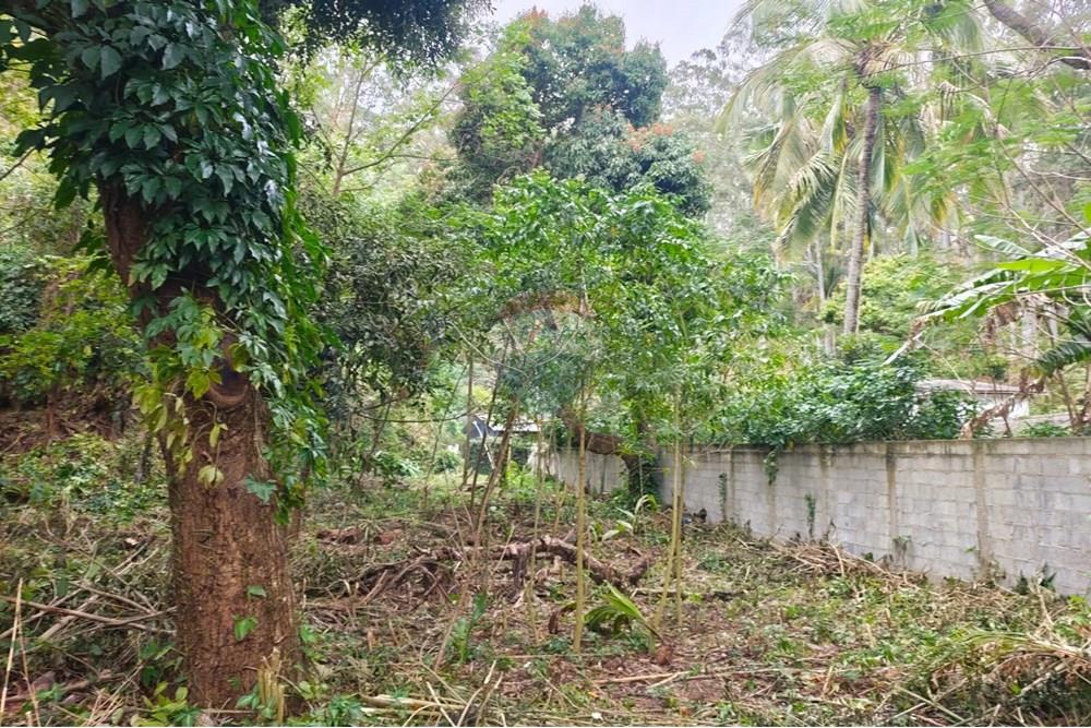 Terreno - Venda - São Sebastião , São Paulo - Imagem do WhatsApp de 2025-09-07 à(s) 16.28.01_ef7eefb8.jpg - 631461059-26