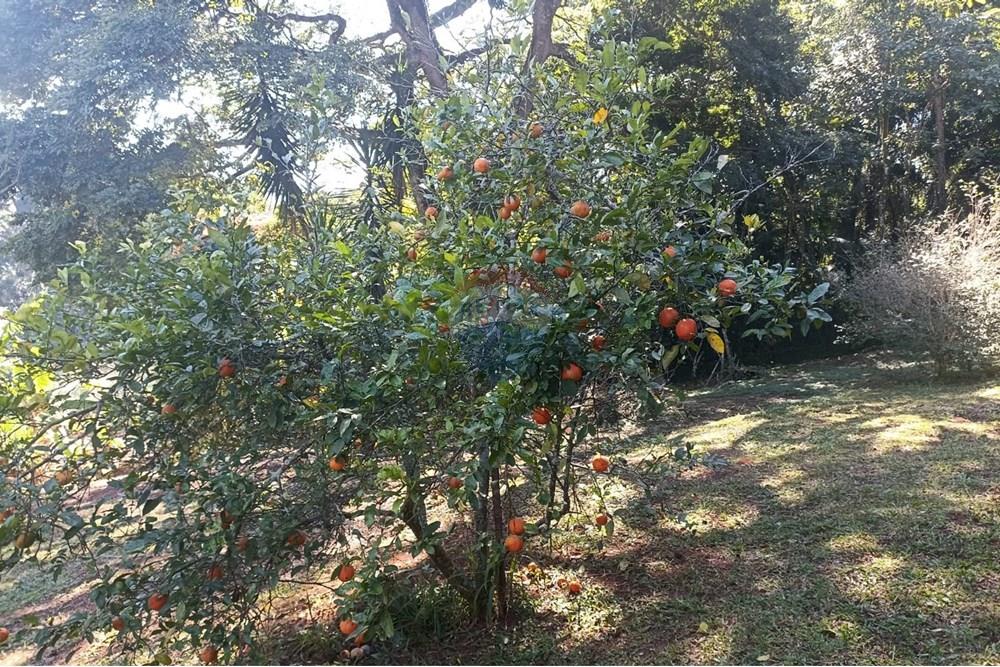 Casa de Condomínio - Venda - Santa Isabel , São Paulo - IMG-20250709-WA0102 - Copia.jpg - 631491029-6