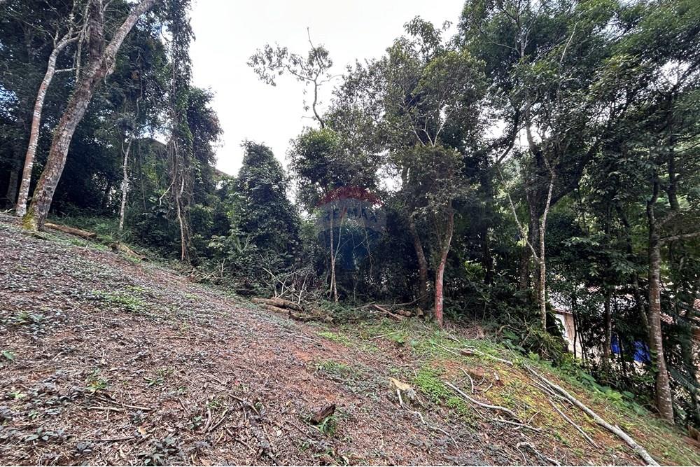 Terreno - Venda - Nova Friburgo , Rio de Janeiro - IMG_0250.JPG - 630551085-21