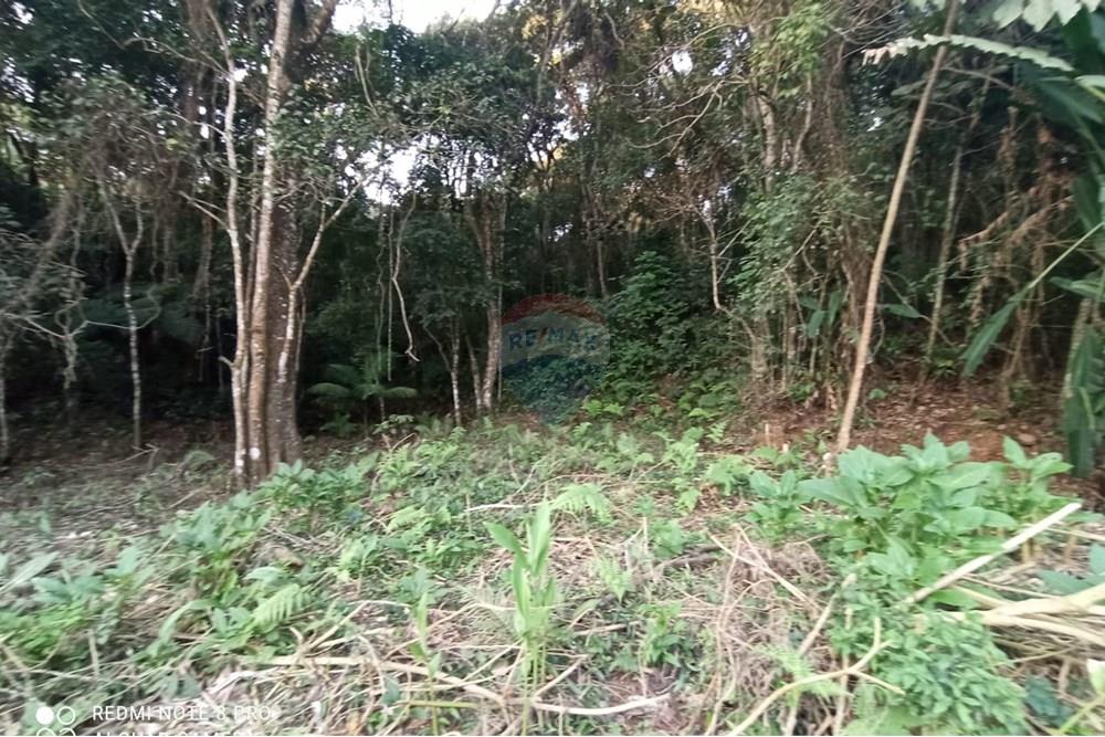 Terreno - Venda - Mairiporã , São Paulo - WhatsApp Image 2025-07-14 at 23.09.31.jpeg - 631361025-36