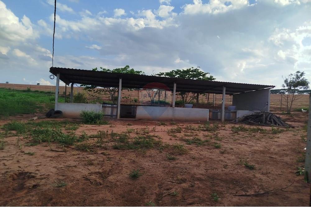 Chácara / Sítio / Fazenda - Venda - Tupã , São Paulo - IMG-20241205-WA0078.jpg - 630151002-125