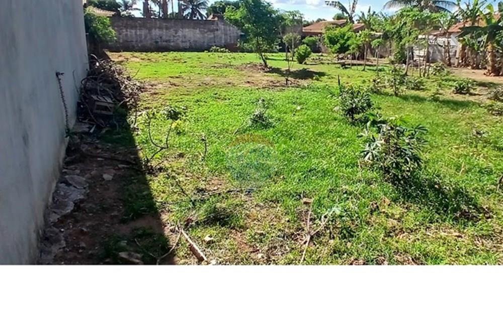 Terreno - Venda - Penápolis , São Paulo - 20241126_155101.jpg - 631191013-95