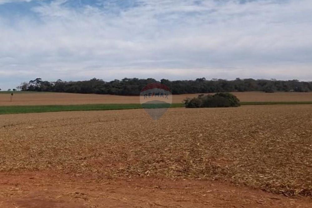 Chácara / Sítio / Fazenda - Venda - Pereira Barreto , São Paulo - WhatsApp Image 2024-11-04 at 19.54.13.jpeg - 630541038-15