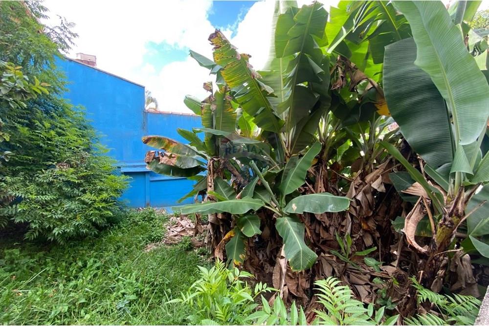 Terreno - Venda - São Bernardo do Campo , São Paulo - WhatsApp Image 2025-04-11 at 19.49.14.jpeg - 630331106-40