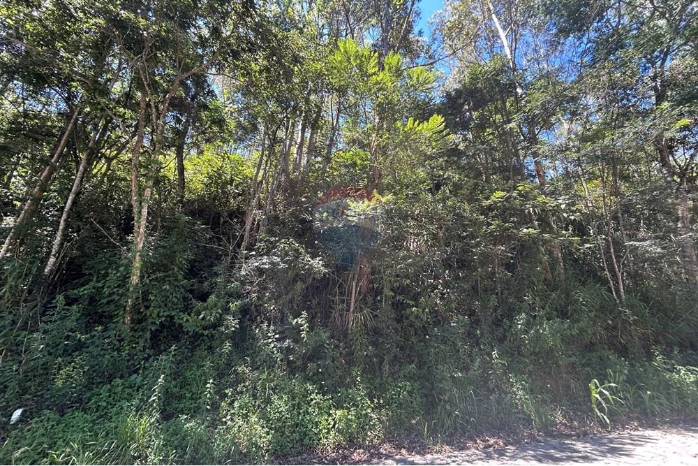 Terreno - Venda - Nova Friburgo , Rio de Janeiro - IMG_6785.JPG - 630551007-320